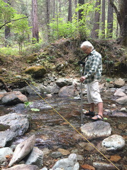 Measuring stream flow